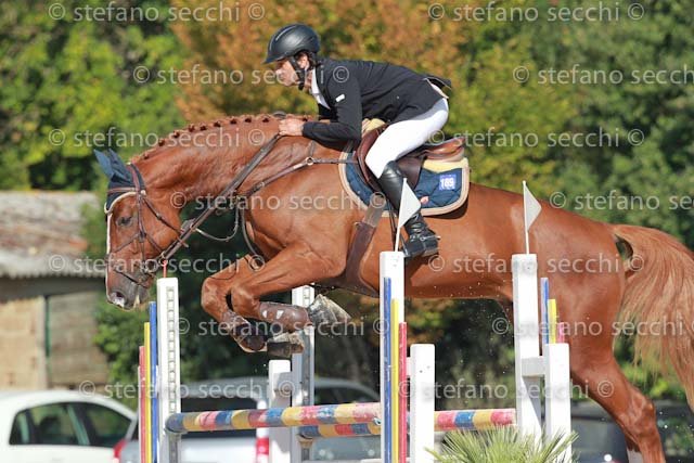 INSELVINI_QUIDORADO_GIO CAV 2011_SS3_6570.jpg